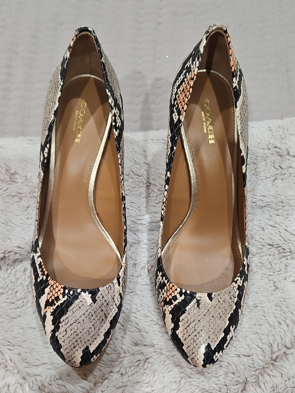 Coach Snake-Print Pointed Toe Pumps in Black and Cream with Peach Accents